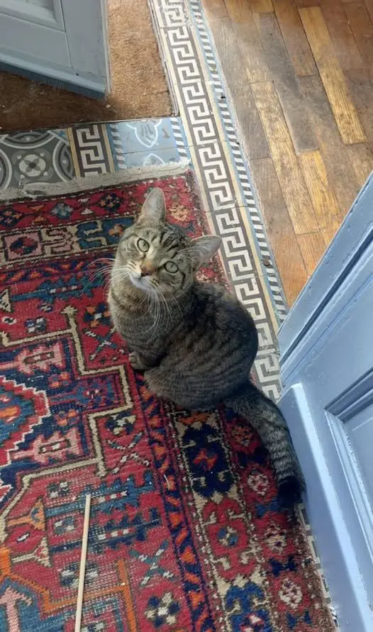 chat lost     Jonah