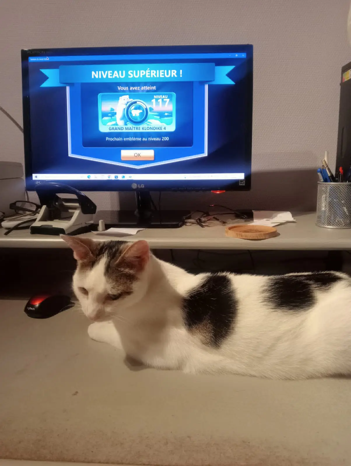 chat lost   4430 Ans Arthur