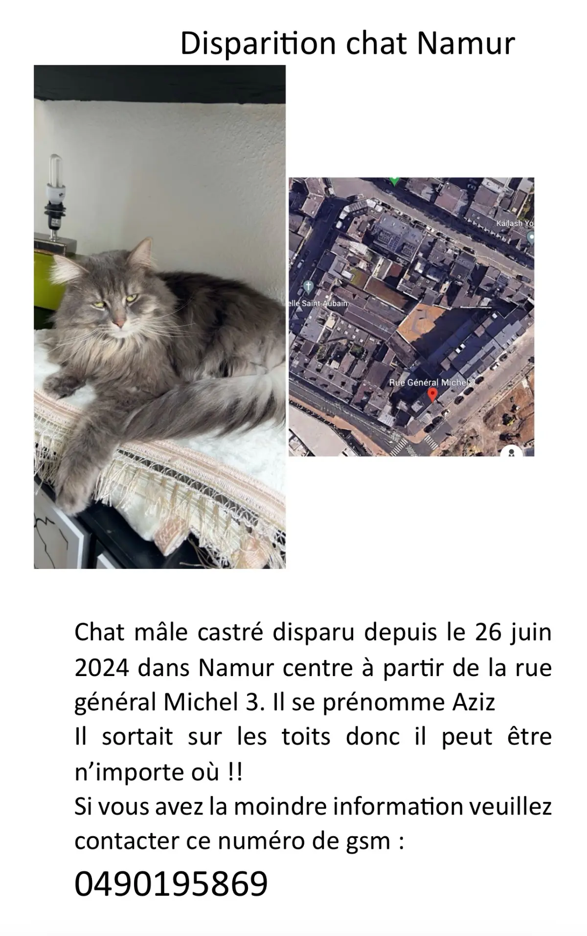 chat lost    Namur Aziz