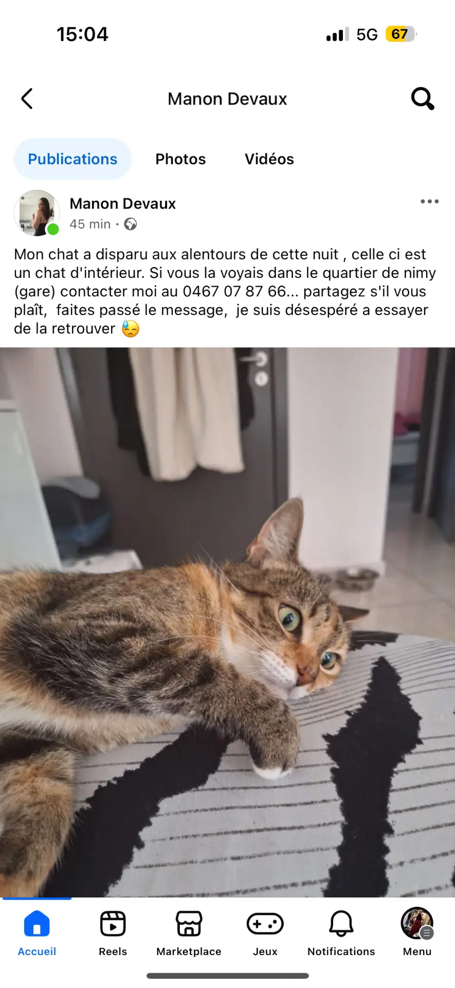 chatte lost   7020 Nimy Tigresse