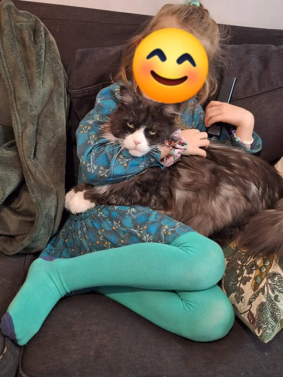 chatte lost   6440 Boussu-lez-Walcourt Grumpy