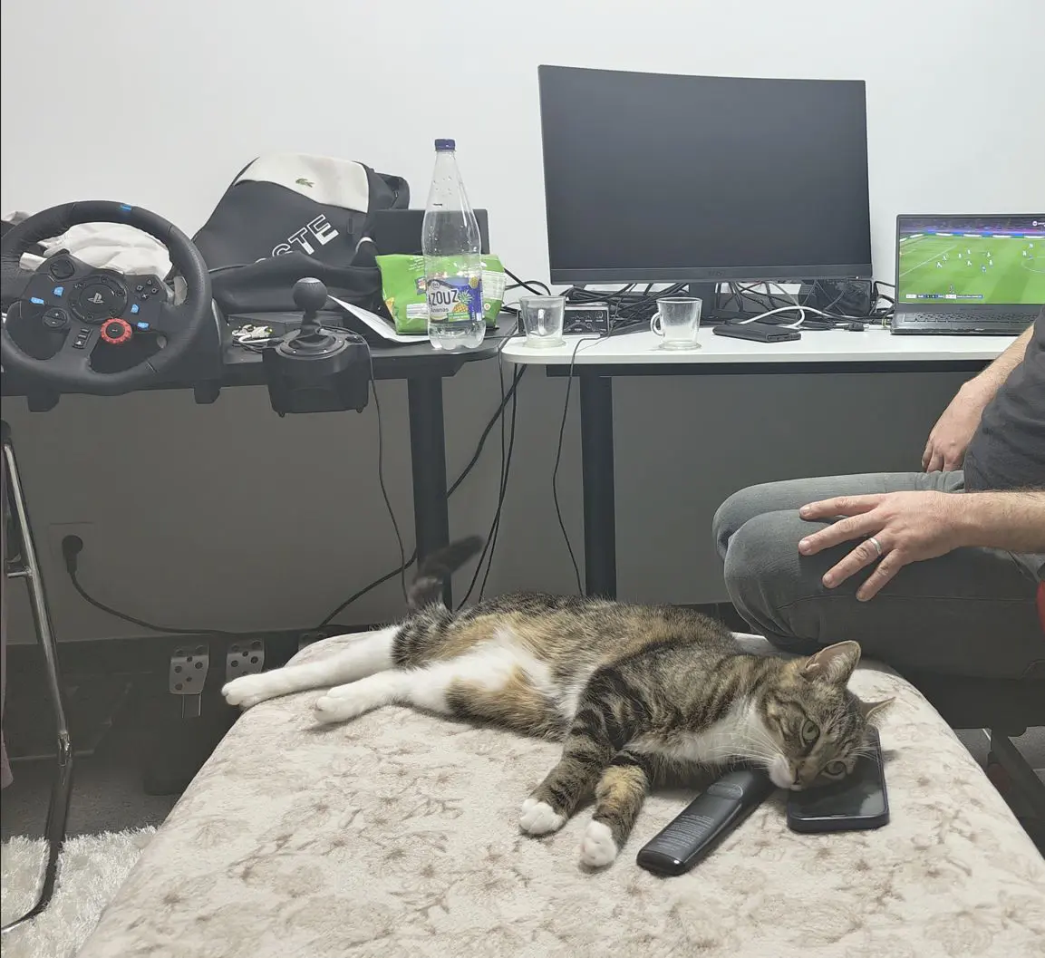 chatte reunited   7160 Chapelle-lez-Herlaimont Mina
