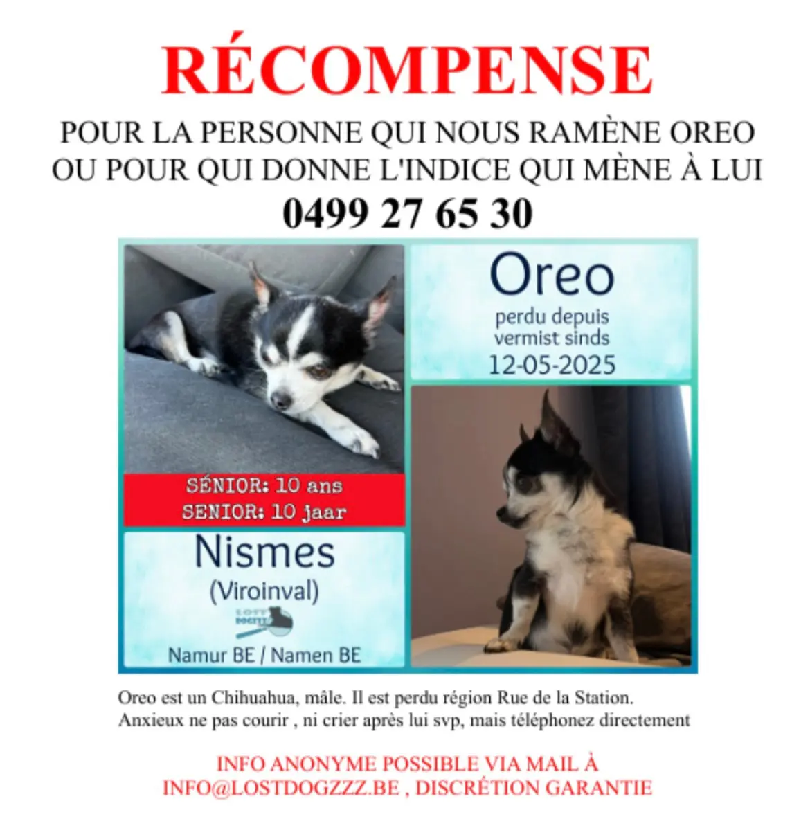chien lost    Nismes Oreo