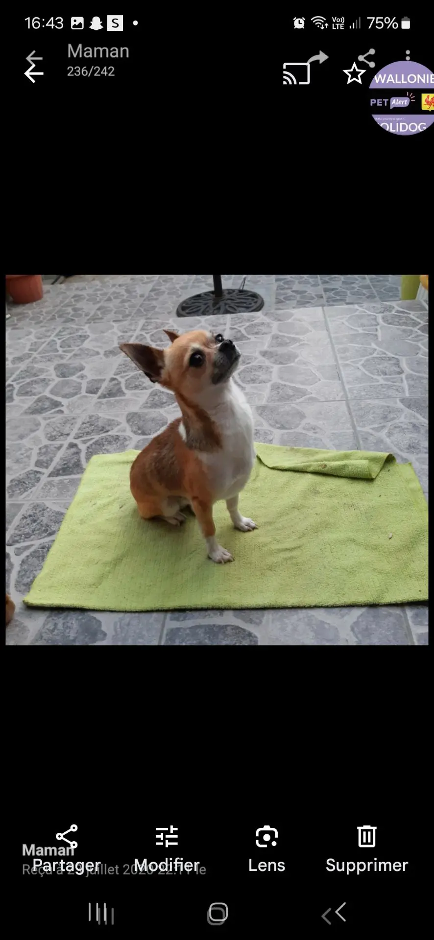 chien reunited    Mons Narko
