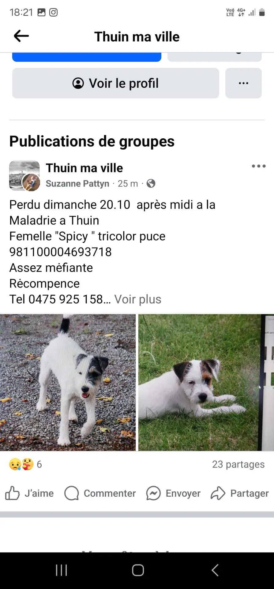 chienne lost     Spicy