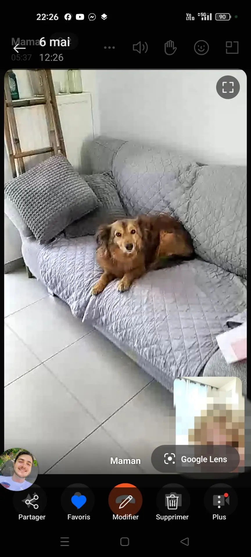 chienne reunited   6250  Cheza