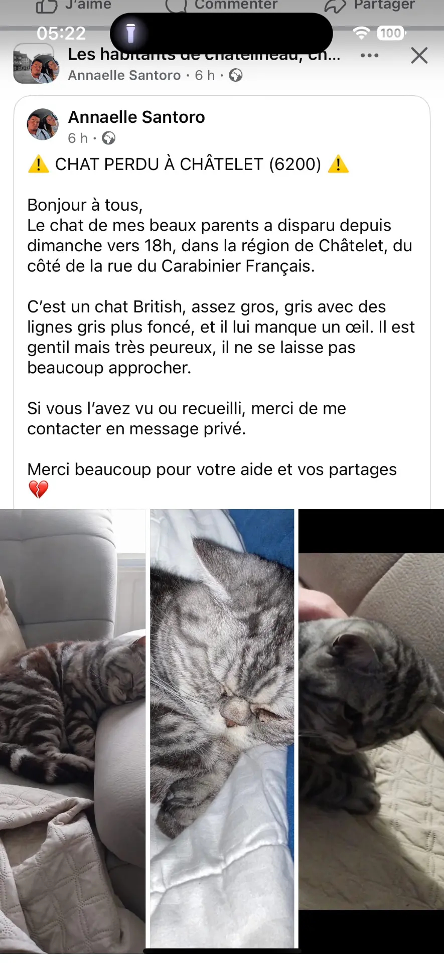 kat lost   6200 Châtelet Massaïl