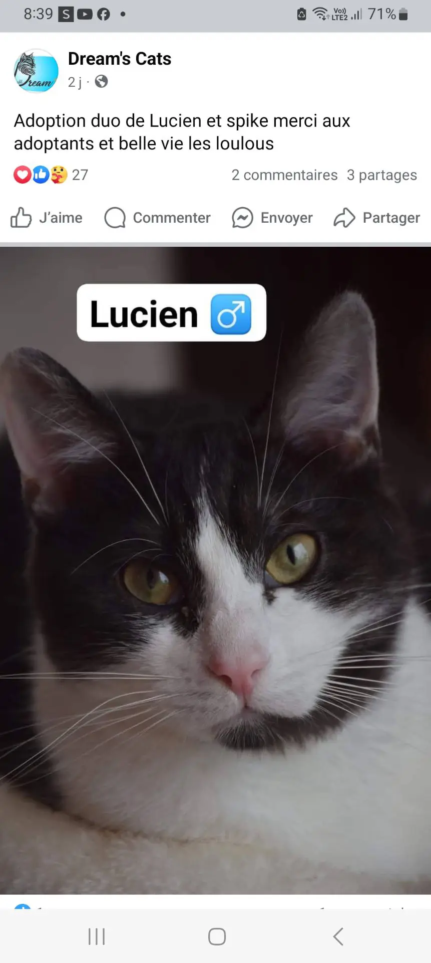 kat lost   7100 La Louvière Lucio