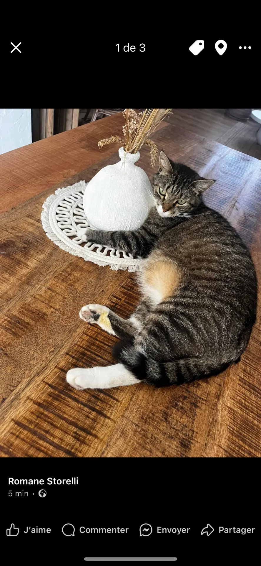 kat lost   7100 La Louvière Oly