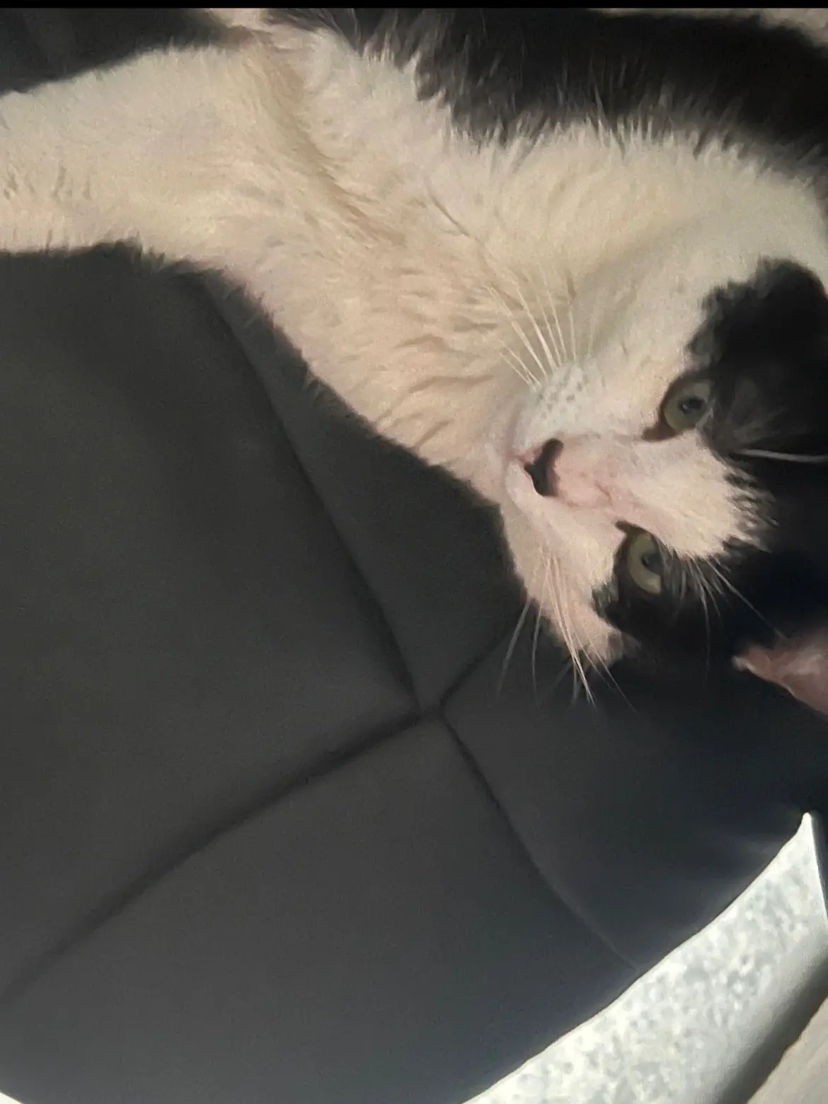 kat lost    Flénu Nunune