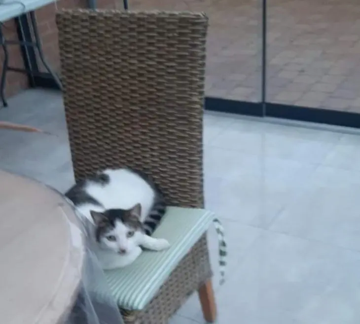kat lost    Flénu Poupouse