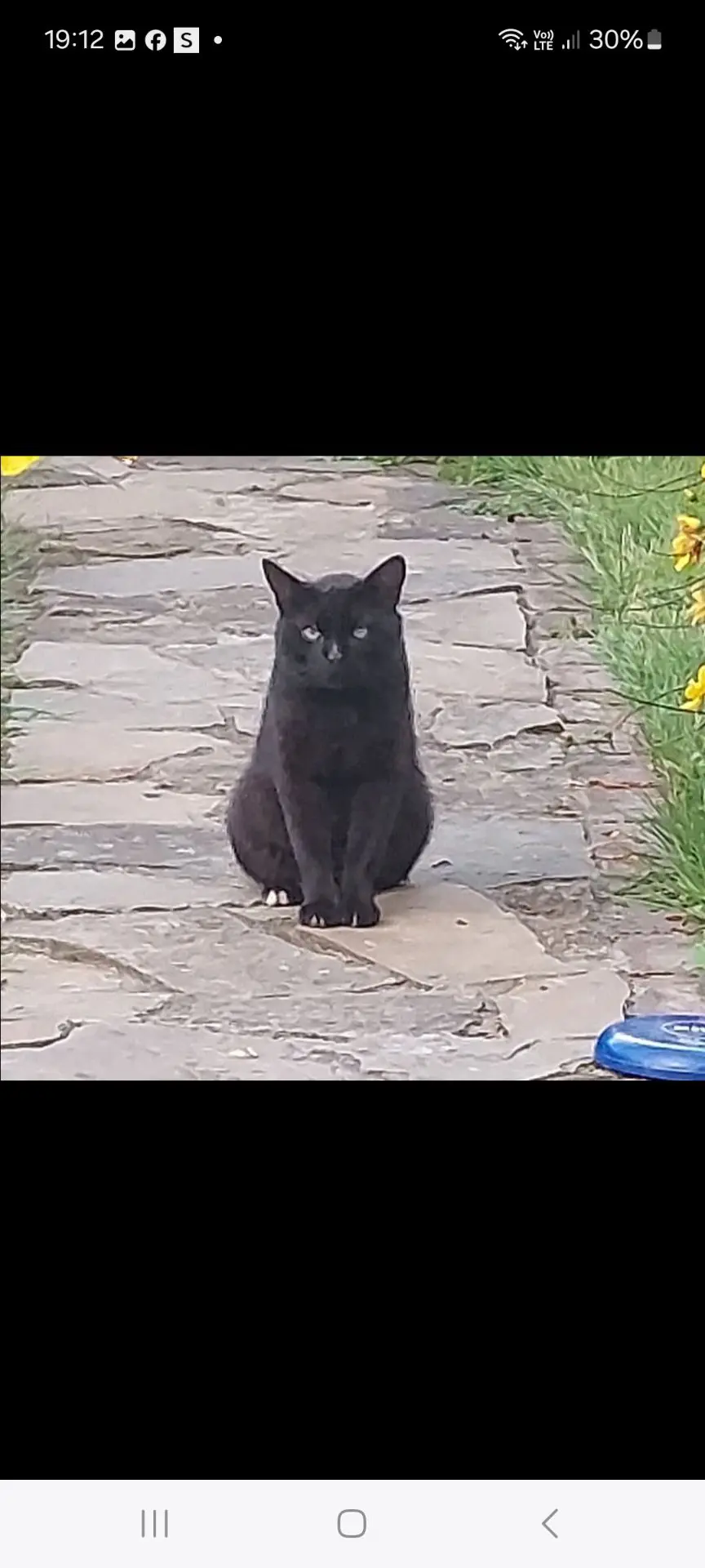 kat lost   4141 Sprimont Bonhomme ou mon grand
