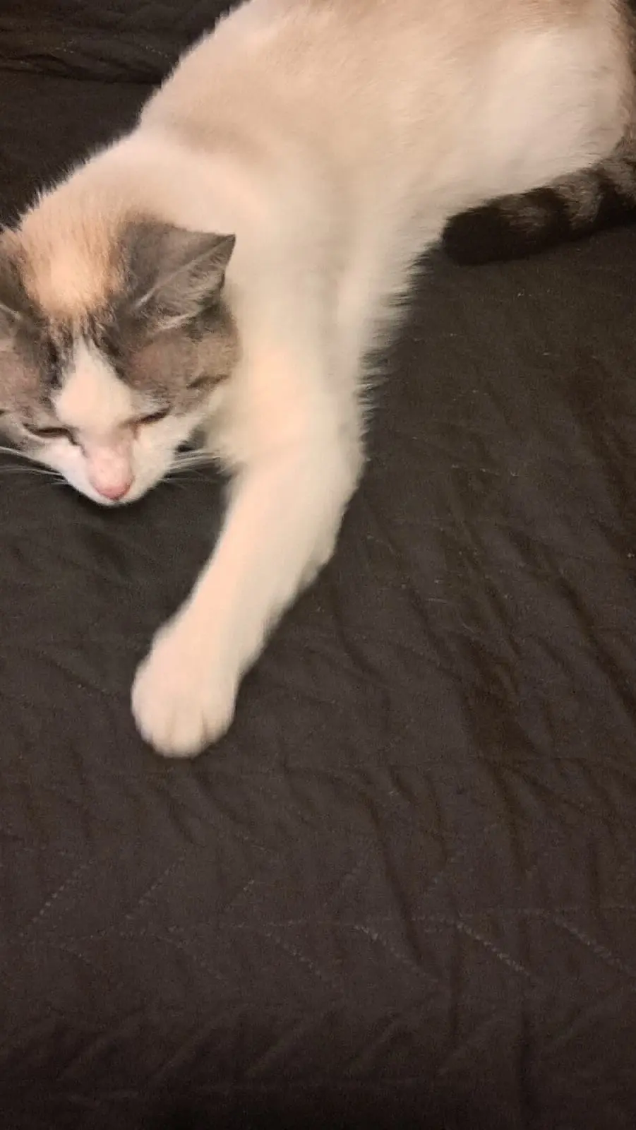 kat lost   5070 Fosses-la-Ville Octobre