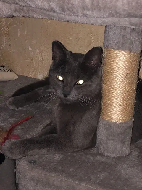 poes lost   7100 La Louvière Micha