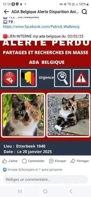 poes lost   1040 Etterbeek Iris